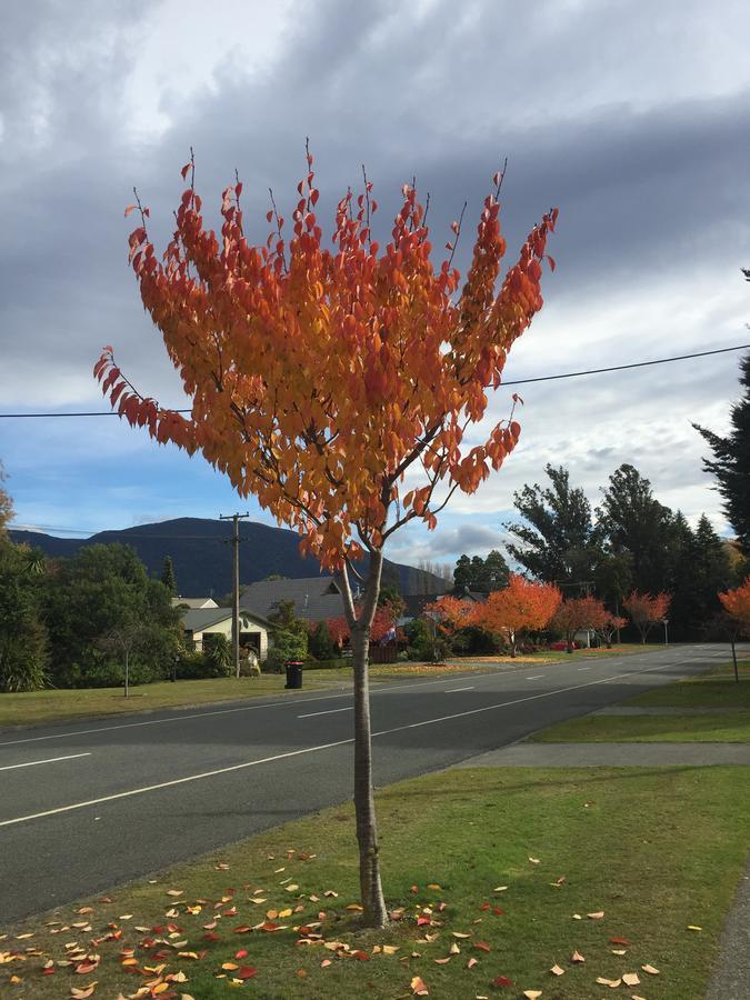 Bed and Breakfast Shakespeare House Te Anau Exteriér fotografie